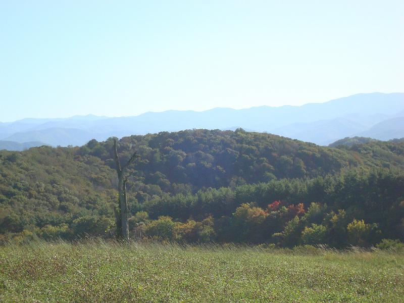 DSC03823.JPG