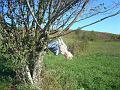 DSC03840