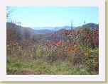 DSC03877 * 3072 x 2304 * (2.46MB)
